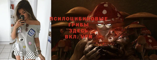 твердый Белоозёрский