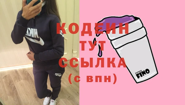 шишки Лабытнанги